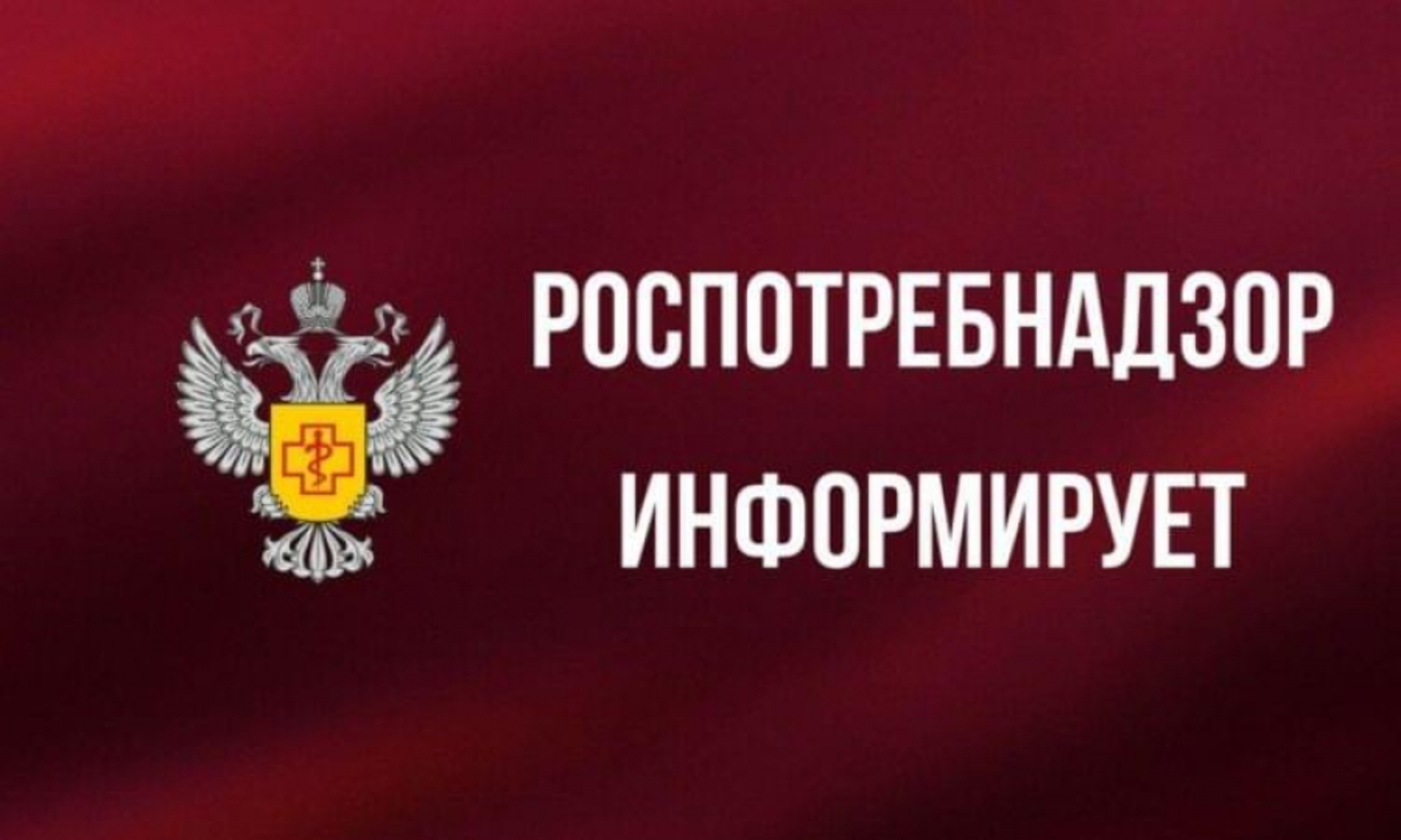 Череповецкий территориальный отдел Управления Роспотребнадзора по Вологодской области сообщает.