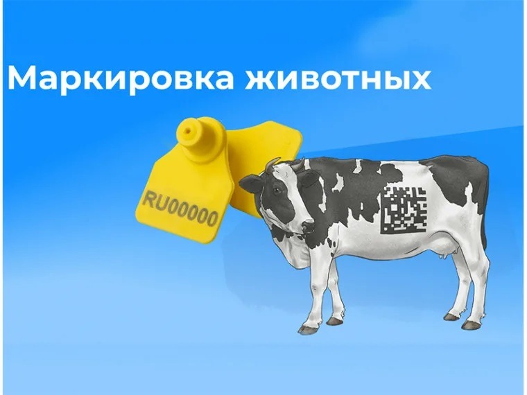 Маркирование и учет сельскохозяйственных животных –  обязанность владельца.