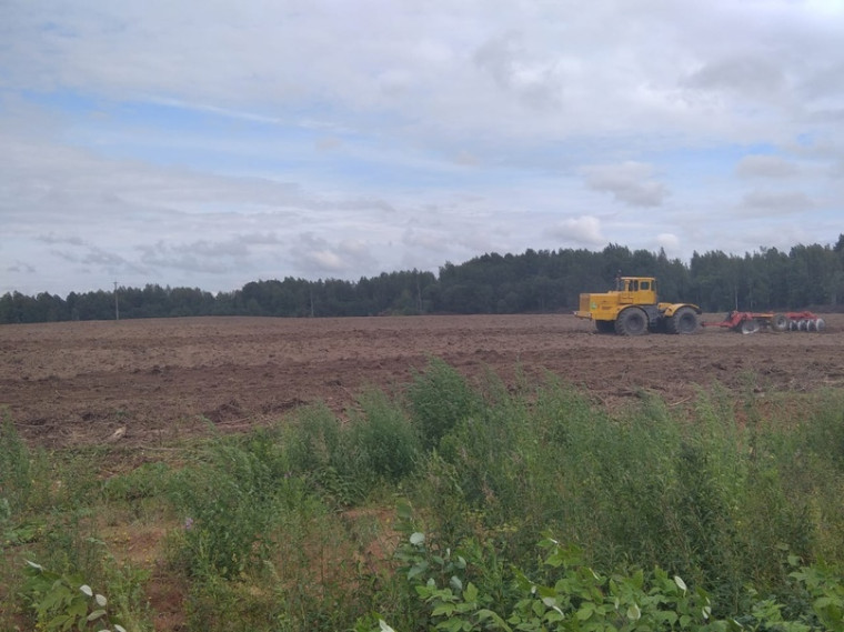 В Устюженском округе более 12 тысяч гектар сельхозугодий, которые требуют работ по их освоению..